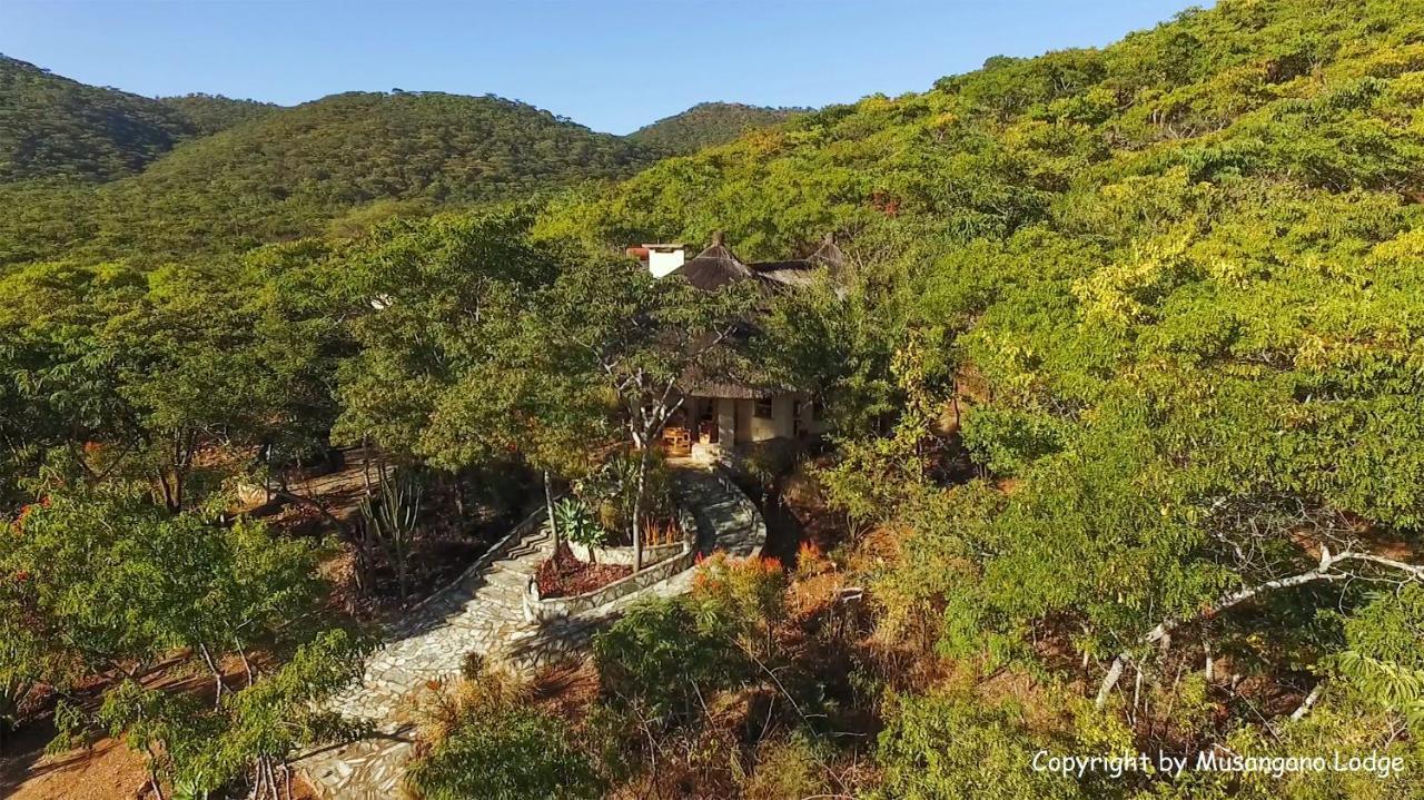 Musangano Lodge Odzi Ngoại thất bức ảnh