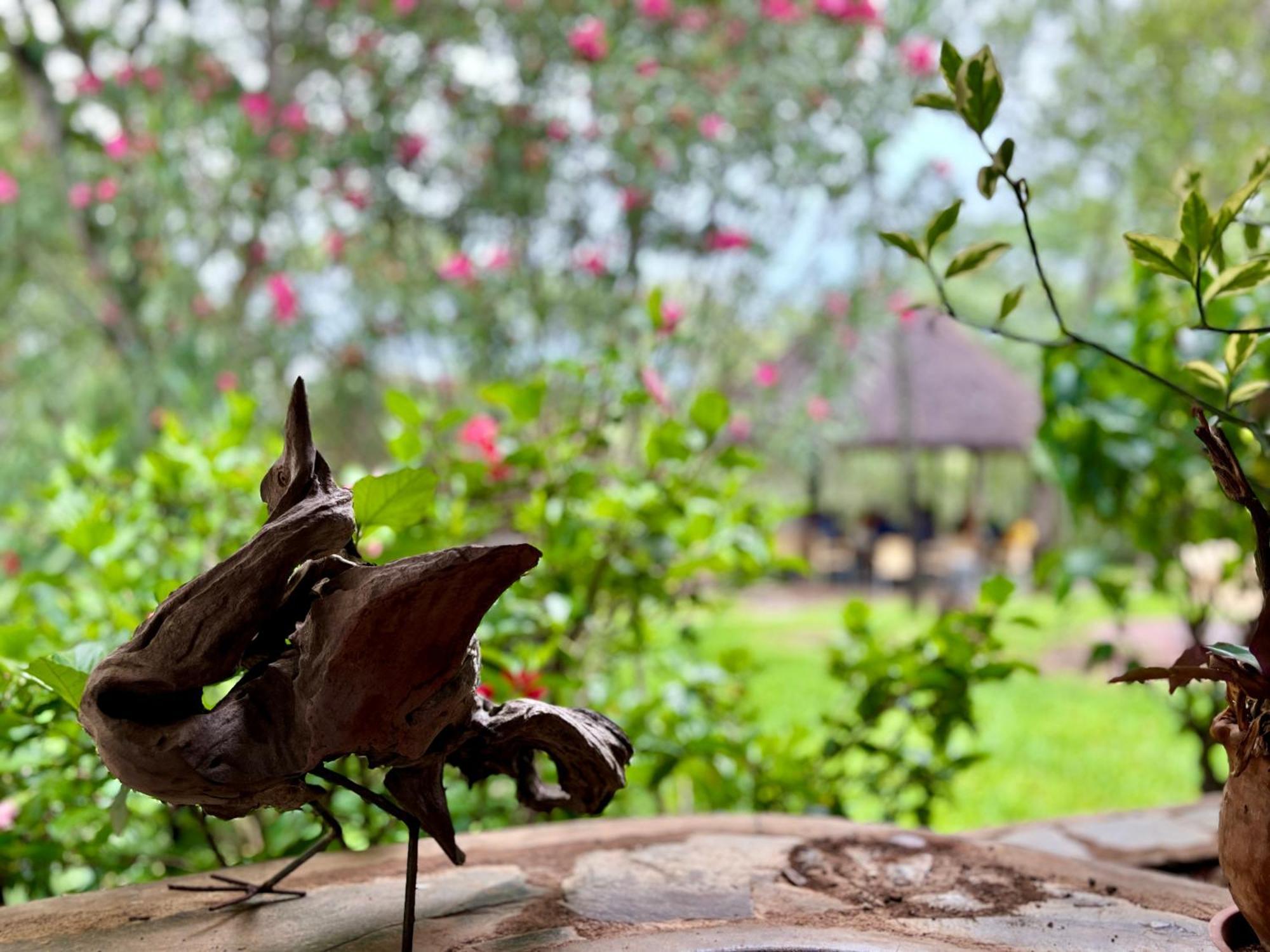 Musangano Lodge Odzi Ngoại thất bức ảnh