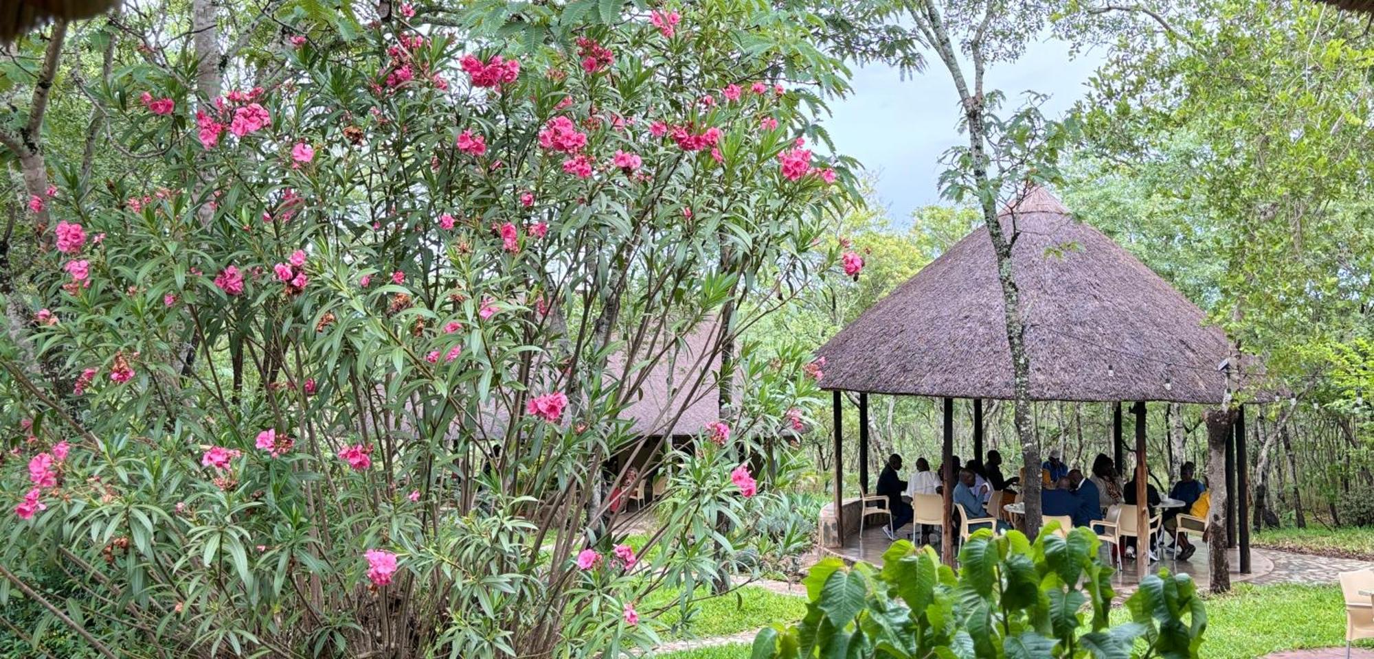 Musangano Lodge Odzi Ngoại thất bức ảnh
