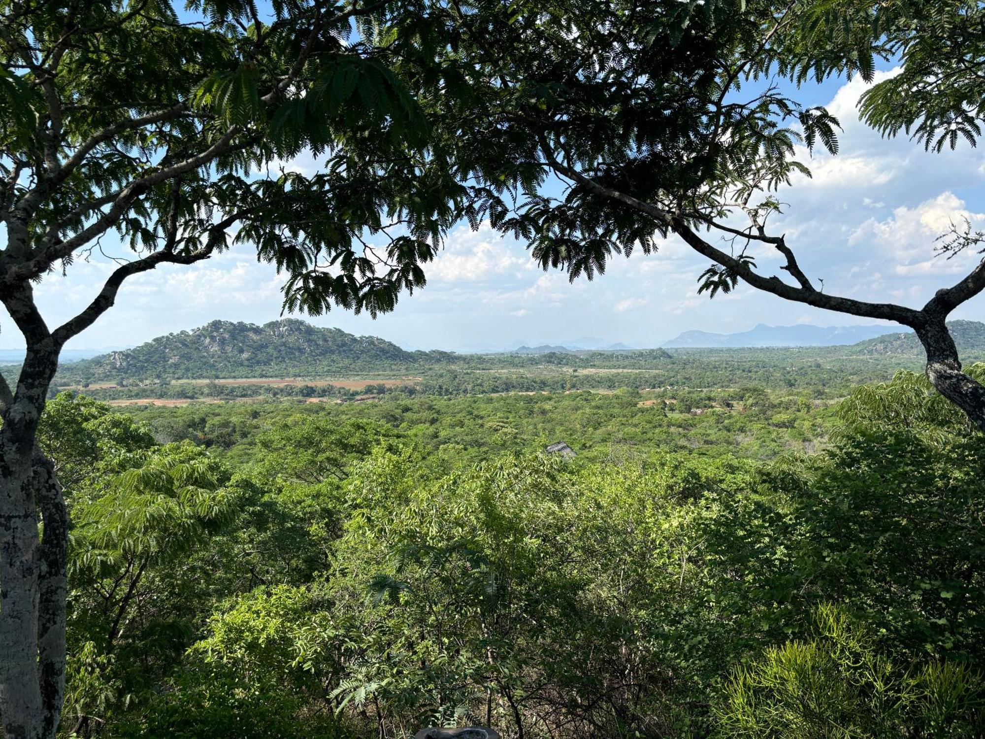 Musangano Lodge Odzi Ngoại thất bức ảnh