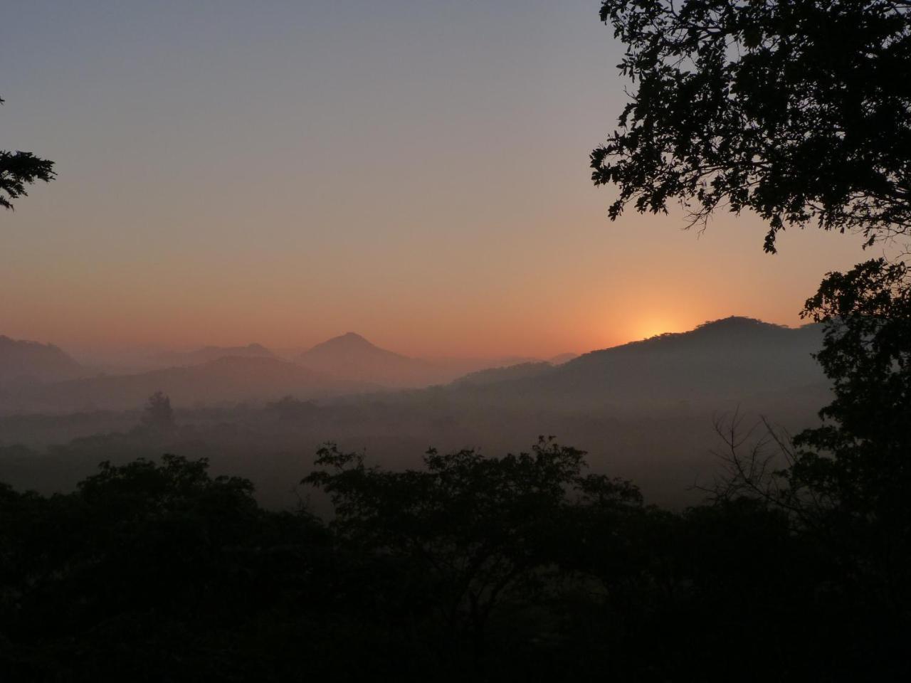 Musangano Lodge Odzi Ngoại thất bức ảnh